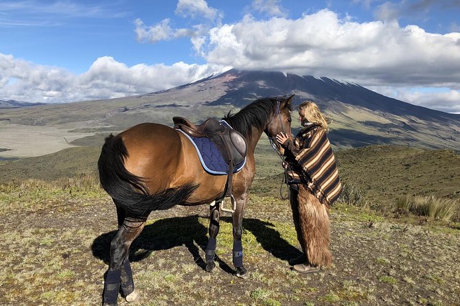 Horseback Ride & Hike in Cotopaxi Volcano Day Trip From Quito - Customer Reviews