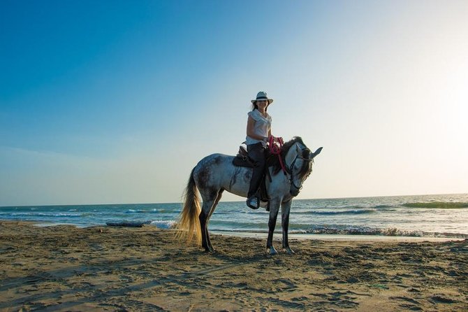 Horseback Riding on the Beach With Paso Colombiano Show - Beach Canter Experience