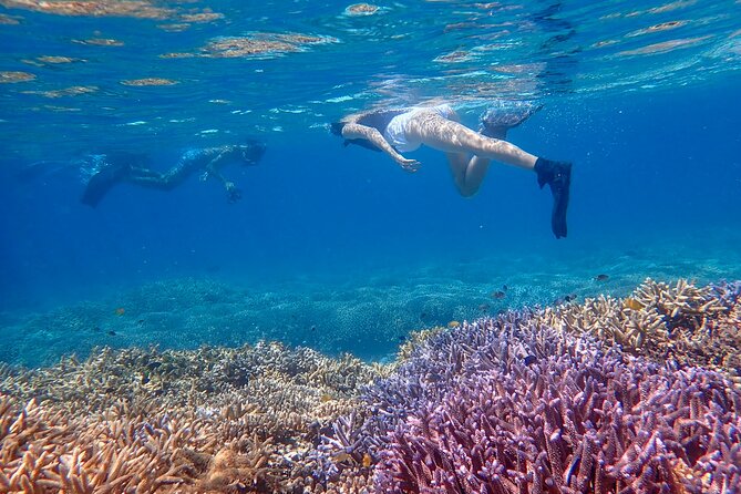 [Ishigaki] Phantom Island Snorkeling, Taketomi Island Sightseeing - Sightseeing Activities