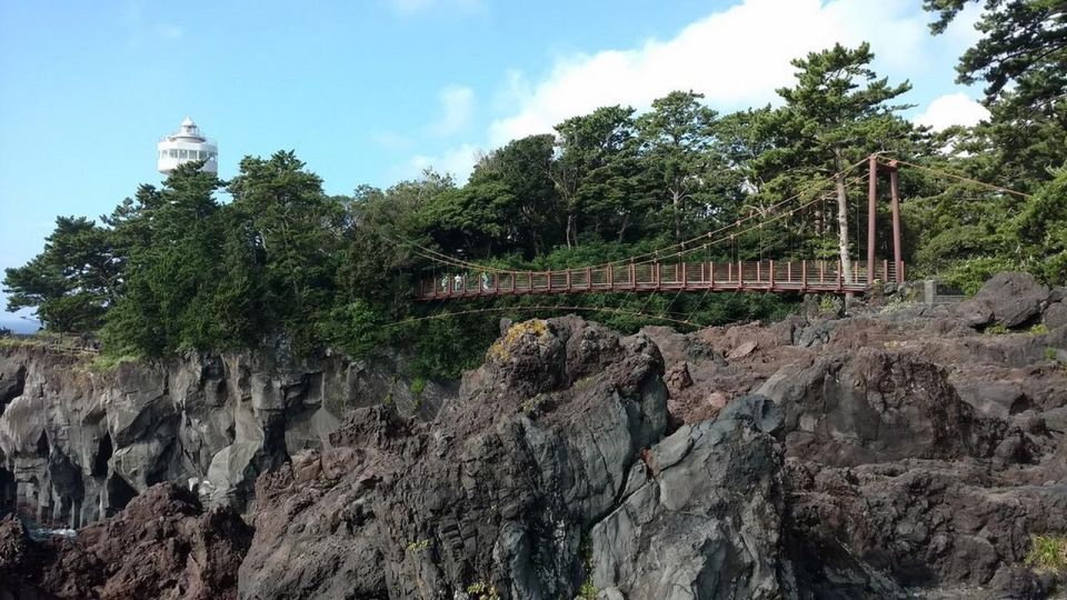 Izu Peninsula: Jogasaki Coast Experience - Inclusions