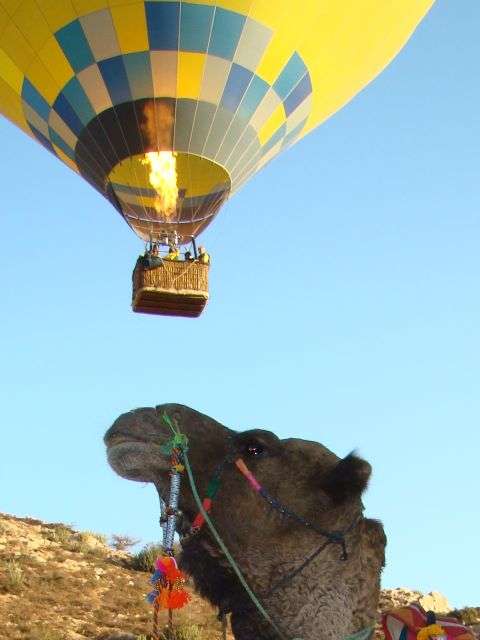 Jaipur: Hot Air Balloon Ride With Coffee and Cookies - Activity Highlights