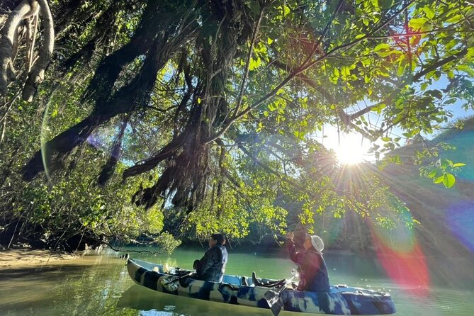 Kadena Mangrove Kayak Tour  - Kadena-cho - Booking Support and Guidelines