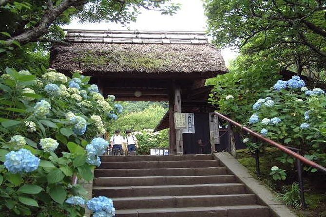 Kamakura 8 Hr Private Walking Tour With Licensed Guide From Tokyo - Cancellation Policy