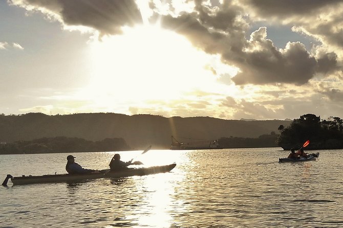 Kayak Mangroves or Coral Reef: Private Tour in North Okinawa - Meeting and Pickup Details