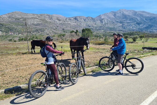Konavle Small-Group E-Bike Food Tour From Dubrovnik - Cancellation Policies