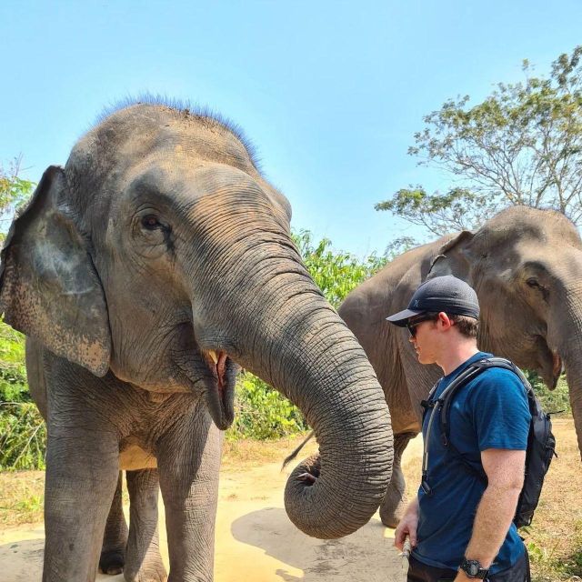 Kulen Elephant Siem Reap Forest in Small Group Tour - Experience Details