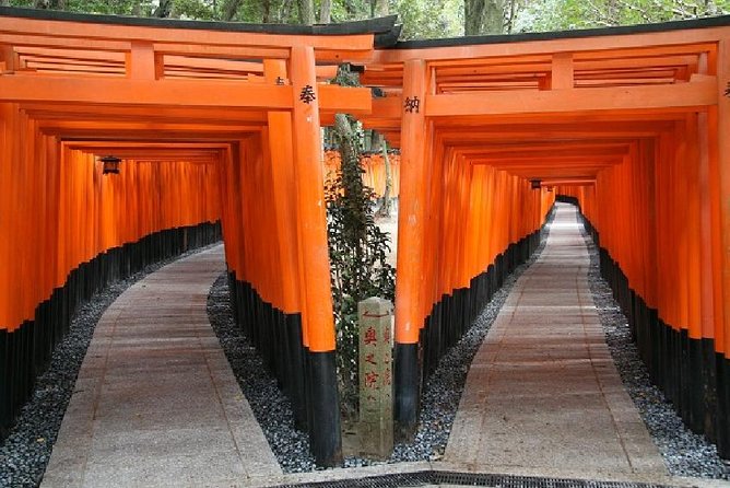 Kyoto Afternoon Tour - Fushimiinari & Kiyomizu Temple From Kyoto - Traveler Tips and Recommendations