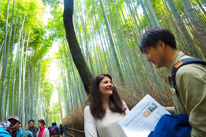 Kyoto Arashiyama Bamboo Forest & Garden Half-Day Walking Tour - Itinerary and Schedule