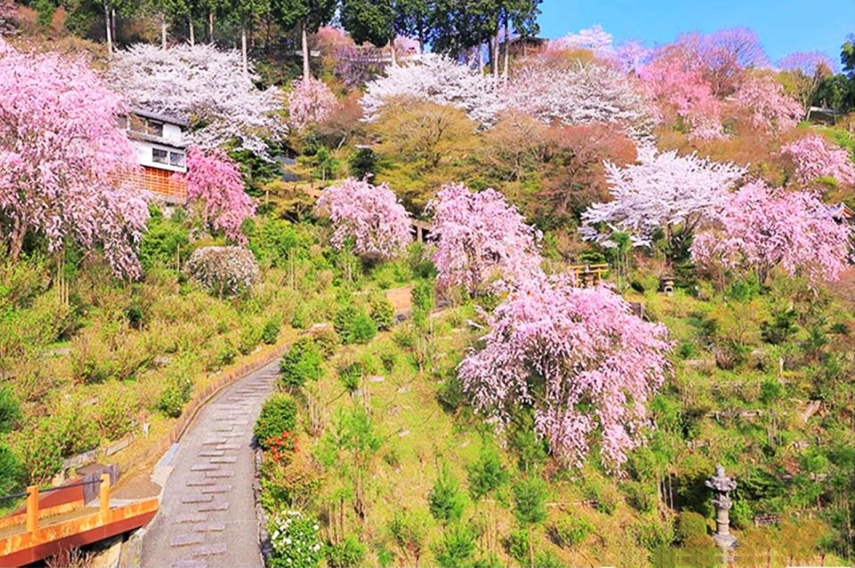 Kyoto: Cherry Blossom Highlights and Pontocho 1-Day Tour - Directions