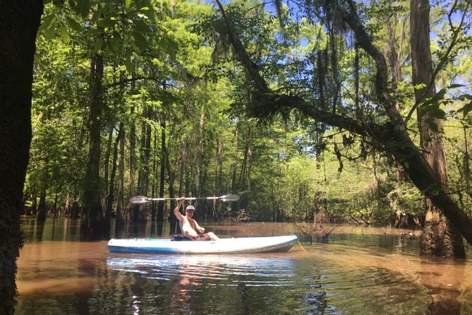Manchac Swamp Kayak Small-Group Tour - Customer Reviews and Highlights