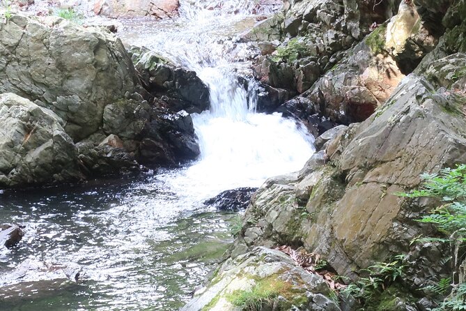 Minoh Waterfall and Nature Walk Through the Minoh Park - Guided Nature Walks Available