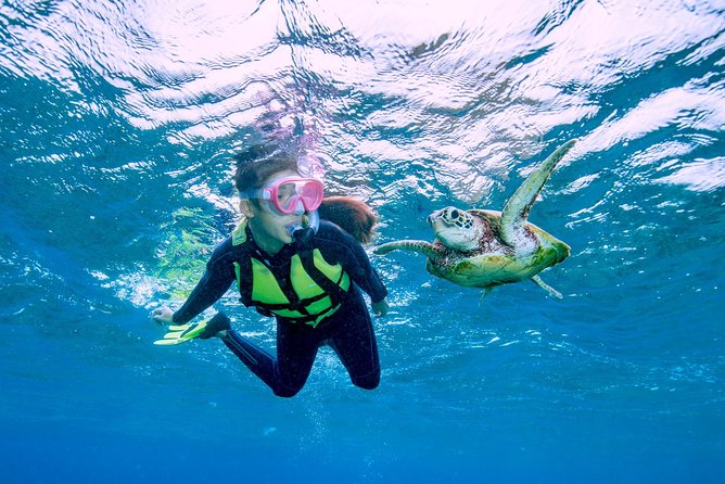 Miyakojima / Snorkel Tour to Swim With Sea Turtles - Participation Requirements