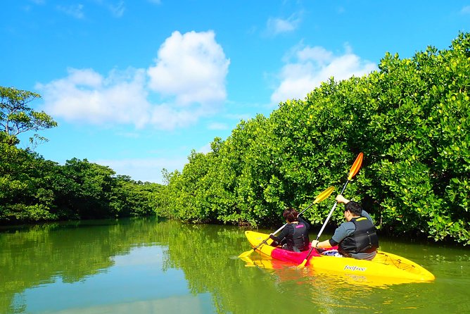Miyara River 90-Minute Small-Group SUP or Canoe Tour (Mar ) - Cancellation Policy Details