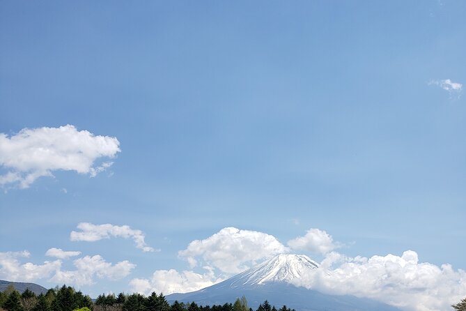Mount Fuji Sightseeing Private Group Tour (Upto 9 Person) - Flexible Cancellation Policy Details