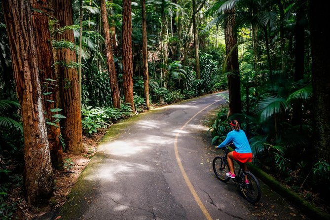 Mountain Bike Tijuca Rain Forest - Common questions