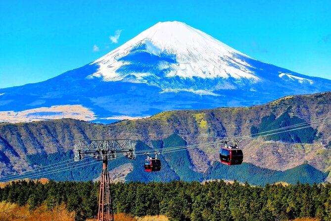 Mt Fuji and Hakone 1-Day Bus Tour Return by Bus - Logistics and Information