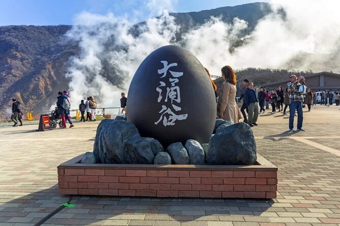 Mt. Fuji and Hakone Private Tour With English Speaking Driver - Meeting Points and Pickup Information
