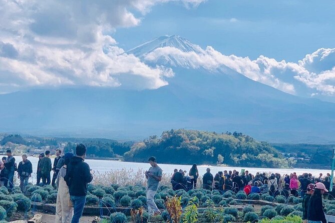 Mt. Fuji and Lake Kawaguchi Day Trip With English Speaking Driver - Traveler Reviews and Feedback