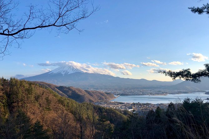 Mt Fuji Area Private Guided Tours in English-Nature up Close, Quiet, Personal - Tour Highlights and Experience