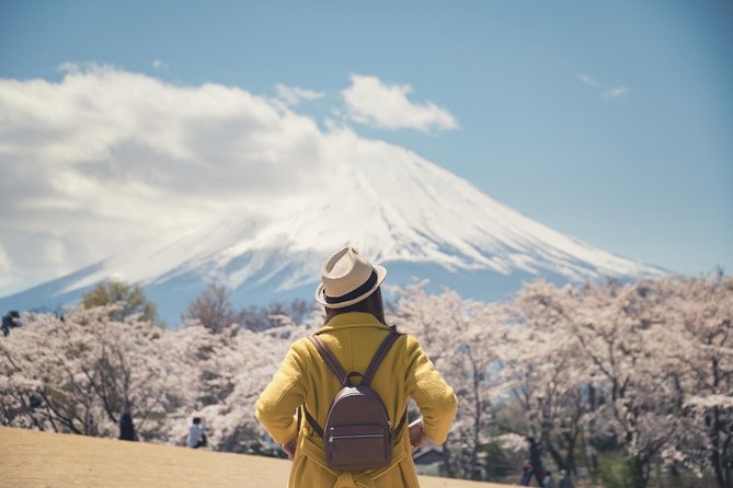 Mt Fuji Day Trip With Private English Speaking Driver - Additional Information and Operator Contact