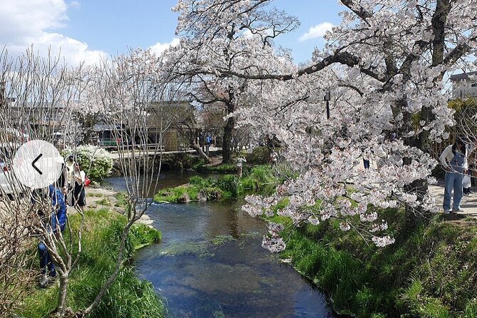 Mt. Fuji, Hakone Full-Day Private Tour With English Driver Guide - Driver/Guide Service Highlights