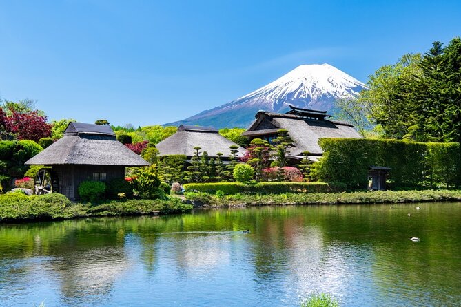 Mt. Fuji Private Tour With English Speaking Driver - Customer Reviews and Ratings