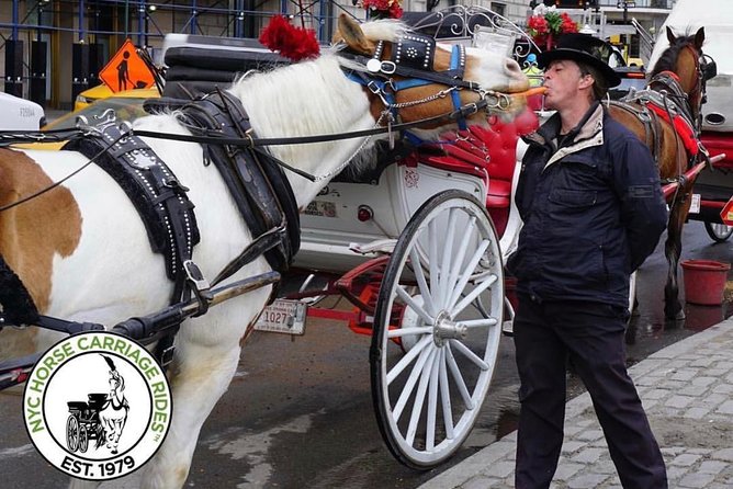 New York City: Central Park Private Horse-and-Carriage Ride - Booking Information and Viator, Inc