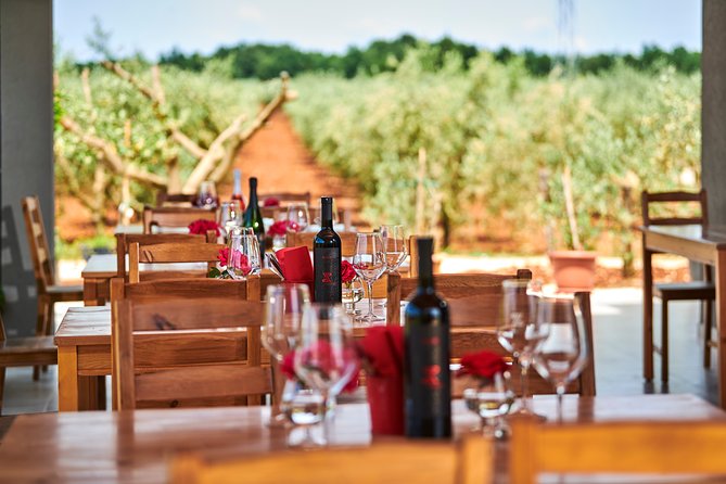 Novigrad Winery Private Wine Tasting Activity  - Istria - Common questions