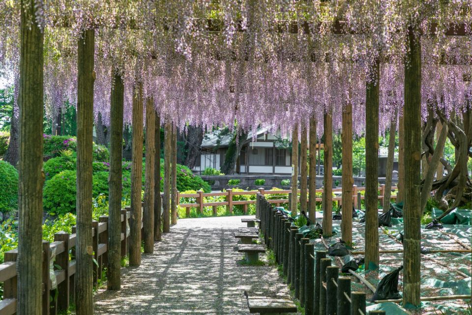 Odawara: Odawara Castle and Town Guided Discovery Tour - Full Description