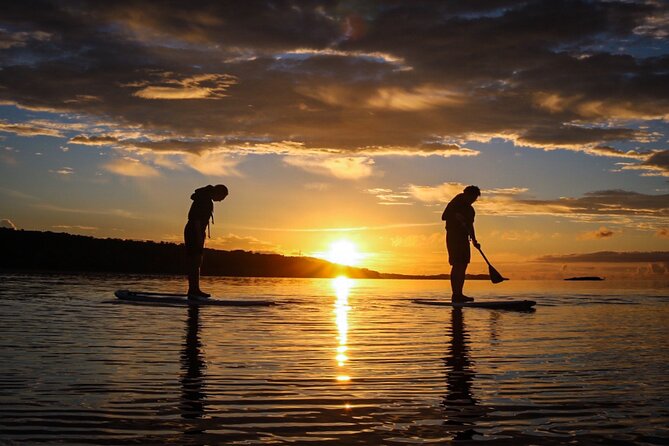 [Okinawa Iriomote] Sunset SUP/Canoe Tour in Iriomote Island - Cancellation Policy