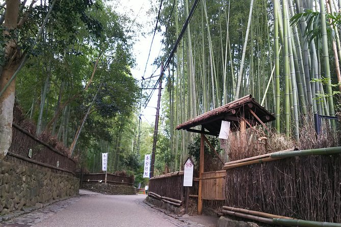 One Day Tour : Enjoy Kyoto to the Fullest! - Customer Reviews Overview