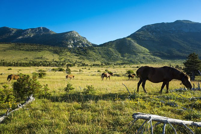 Paklenica National Park Admission Ticket - Infant Ticket Policy