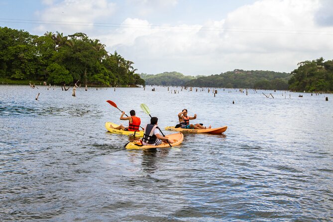 Panama City Kayaking & Horseback Riding Experience - Customer Reviews