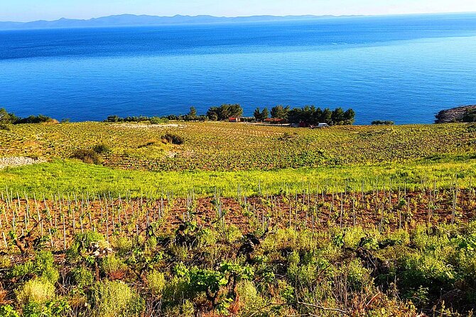 Peljesac and Ston Private Wine Tour With Tastings From Dubrovnik - Booking Information