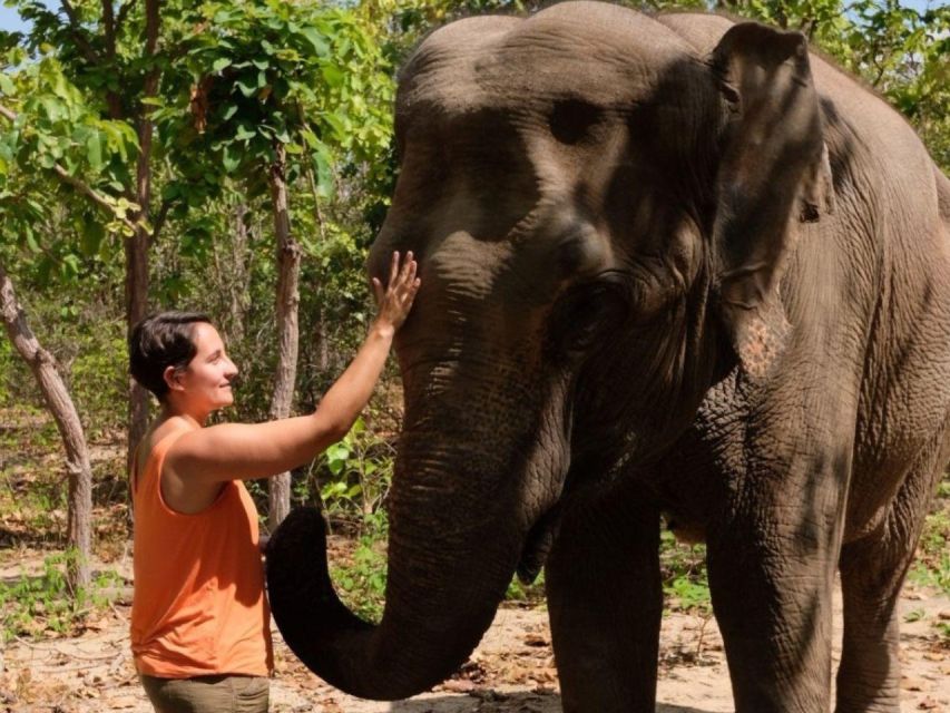 Phnom Tamao Wildlife Center, Buddha Kiri Cambodia Day Tour - Wat Putt Kiri Cambodia Highlights