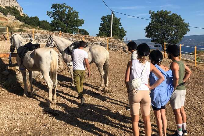 Podstrana Private Horseback Ride on Ancient Roman Roads (Mar ) - Directions
