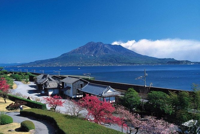 Port Pick-Up: Kagoshima Private Tour Licensed Guide ＆ Vehicle - Traveler Photos and Reviews