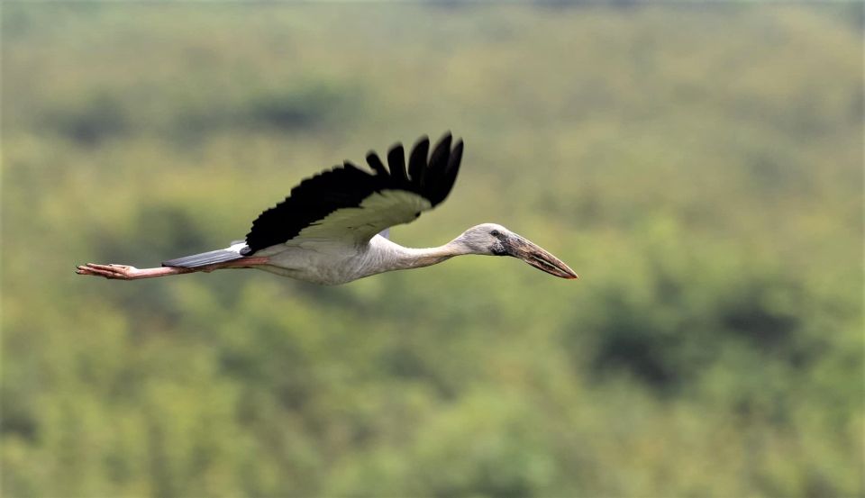 Prek Toal Birds Sanctuary & Floating Village Private Tour - Experience Highlights and Itinerary