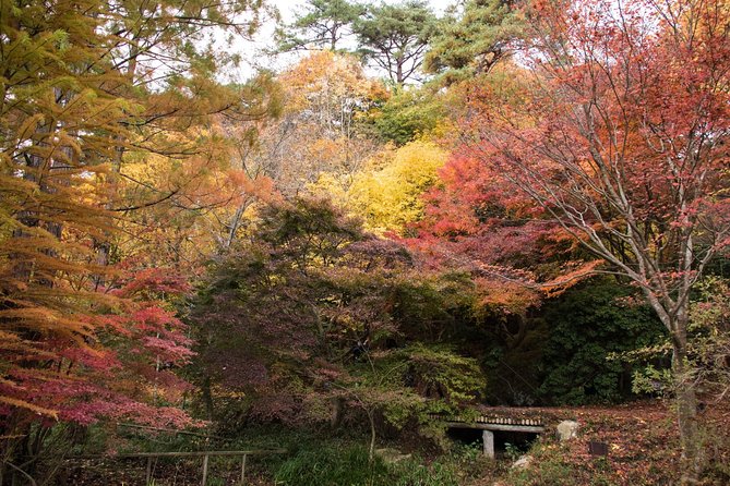 Private Car Day Trip to the Kobe Mountains, Gardens and Hot Springs From Osaka - Experience Highlights