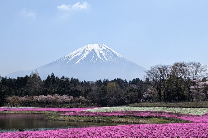 Private Car Mt Fuji and Gotemba Outlet in One Day From Tokyo - Guide and Language Options