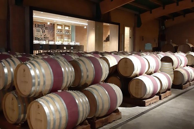 Private Colchagua Valley Wine Tour All Inclusive From Santiago - Customer Reviews