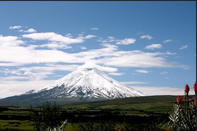 Private Tour Cotopaxi National Park, Hike to 4800 Meters - Overview of Tour Activities
