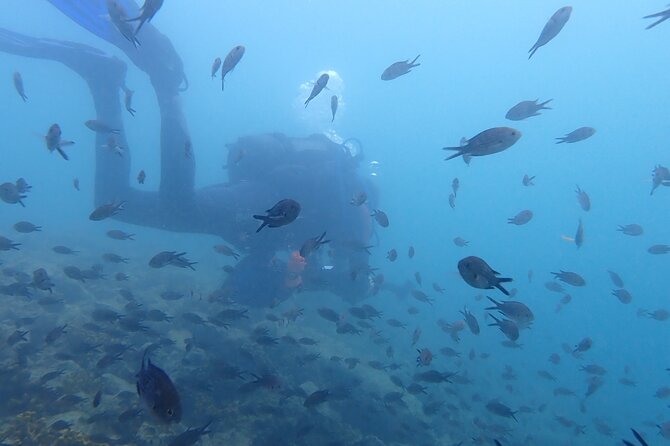 Pula Discover Scuba Diving Package - Program Details
