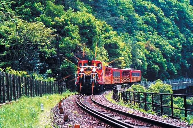 Sagano Romantic Train & Arashiyama, Kiyomizudera, Fushimi Inari Taisha Day Tour - Customer Reviews