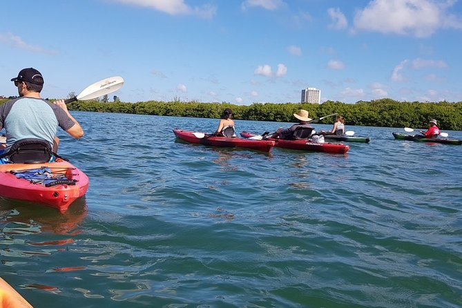 Sarasota Guided Mangrove Tunnel Kayak Tour - Logistics