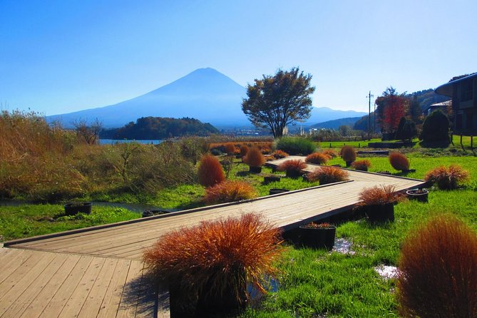 Scenic Spots of Mt Fuji and Lake Kawaguchi 1 Day Bus Tour - Admiring Oishi Parks Beauty