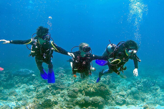 Scuba Diving for Beginners in Pula - Common questions
