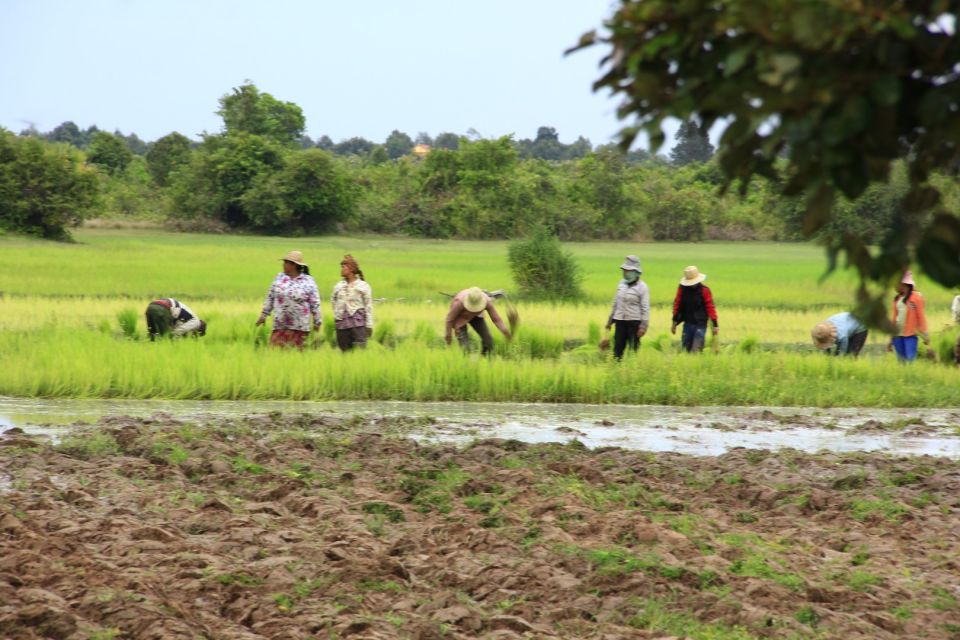 Siem Reap: Kulen Mountain Waterfall & Beung Mealea Temple - Tour Highlights