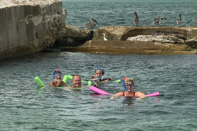 Small Group 2 Hour Dolphin Cruise With Snorkeling to Shell Key - Tour Overview