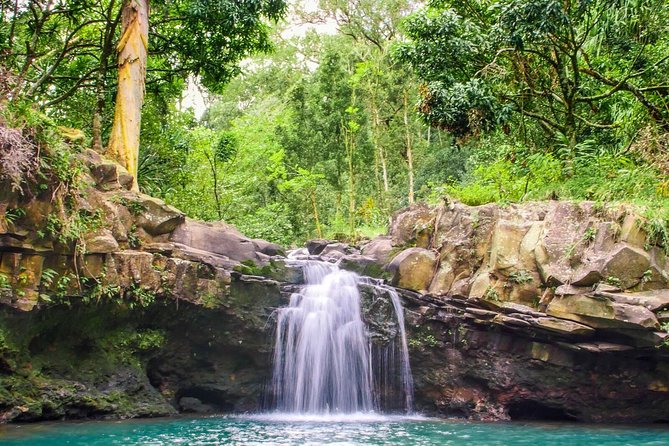 Small Group Waterfall and Rainforest Hiking Adventure on Maui - Meeting Point and Additional Information